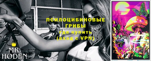 бошки Алзамай
