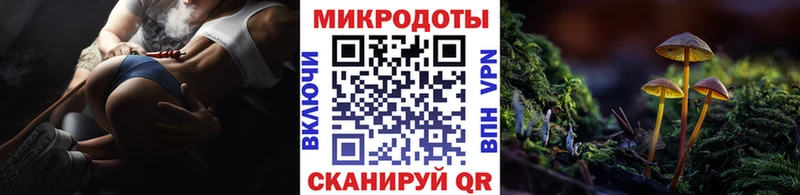 omg ссылки  Лесной  Псилоцибиновые грибы Cubensis 