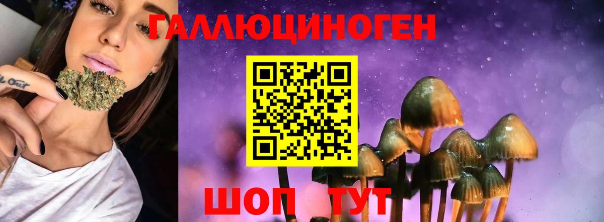Лесной  Галлюциногенные грибы Psilocybe  Вход с VPN  Псилоцибиновые грибы Magic Shrooms 